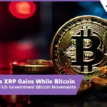 13 Desk Crypto News | Ripple's XRP Gains While Bitcoin Falls Amid US Government Bitcoin Movements