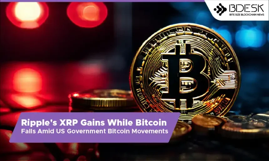 13 Desk Crypto News | Ripple's XRP Gains While Bitcoin Falls Amid US Government Bitcoin Movements