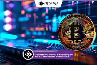 13 Desk Crypto News | Crypto Markets Recover as Bitcoin Regains $56,000 Amid Broader Market Bounce