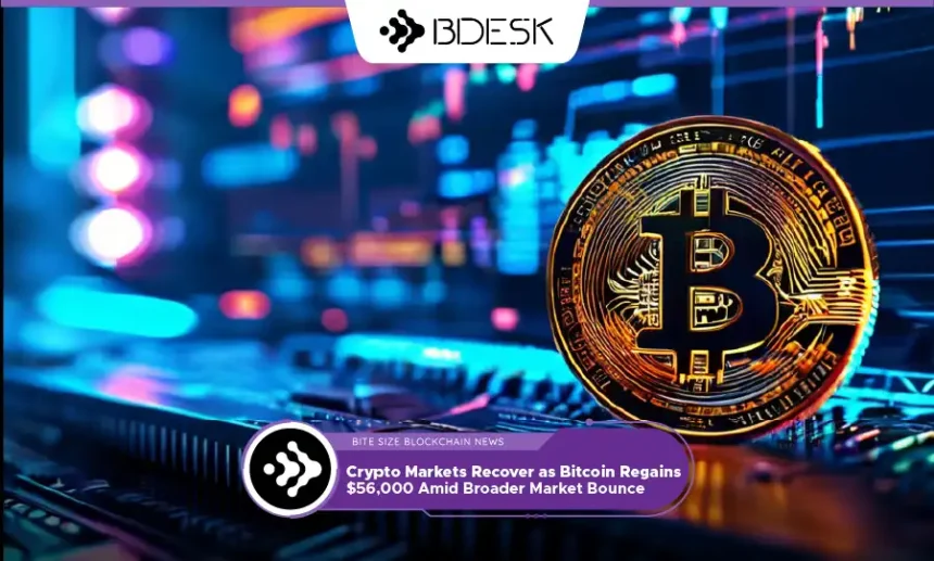 13 Desk Crypto News | Crypto Markets Recover as Bitcoin Regains $56,000 Amid Broader Market Bounce