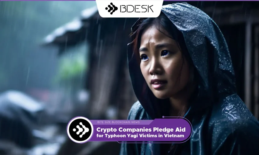 13Desk Crypto News | Crypto Companies Pledge Aid for Typhoon Yagi Victims in Vietnam