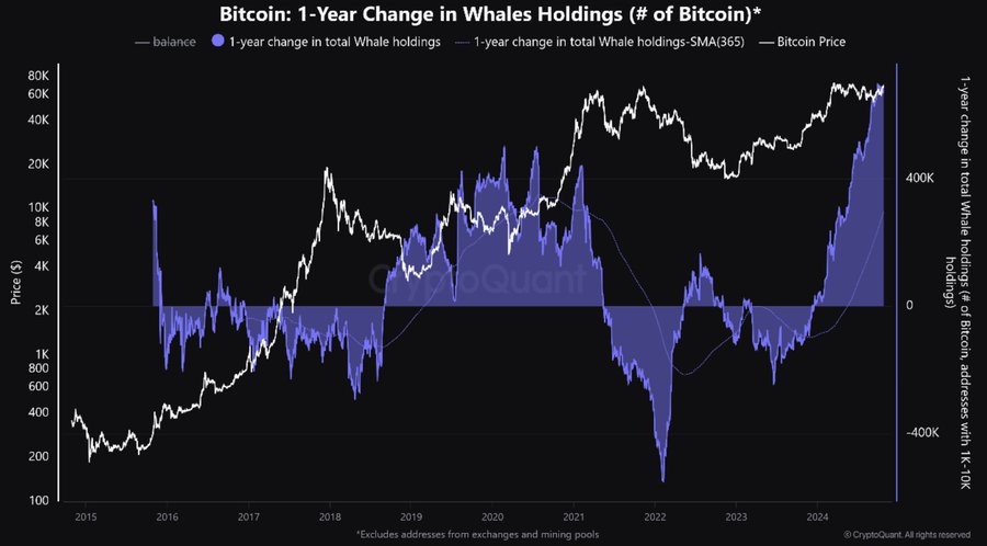 13Desk Crypto News | 1 Year Change in Whales Holdings