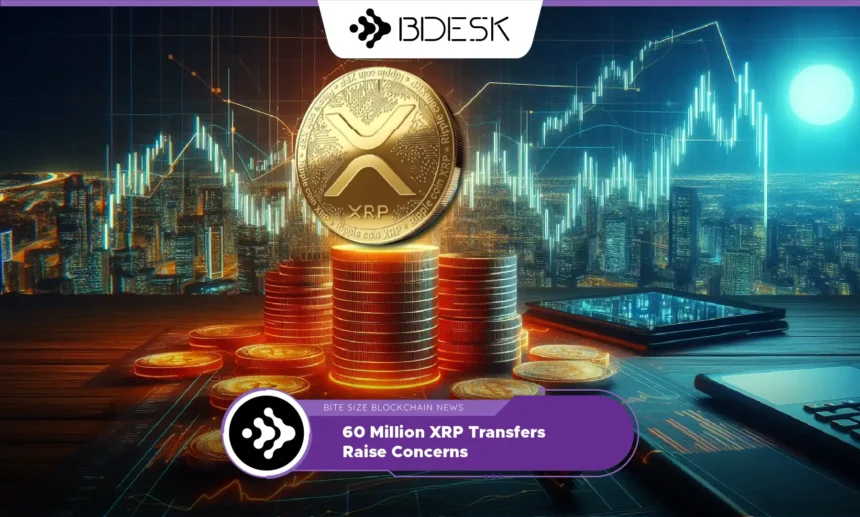 13Desk Crypto News | 60 Million XRP Transfers Raise Concerns