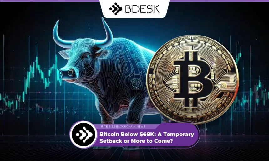 13Desk Crypto News | Bitcoin Below $68K: A Temporary Setback or More to Come?