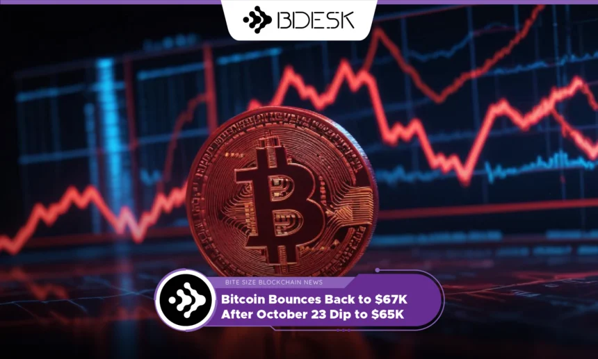 13Desk Crypto News | Bitcoin Bounces Back to $67K After October 23 Dip to $65K