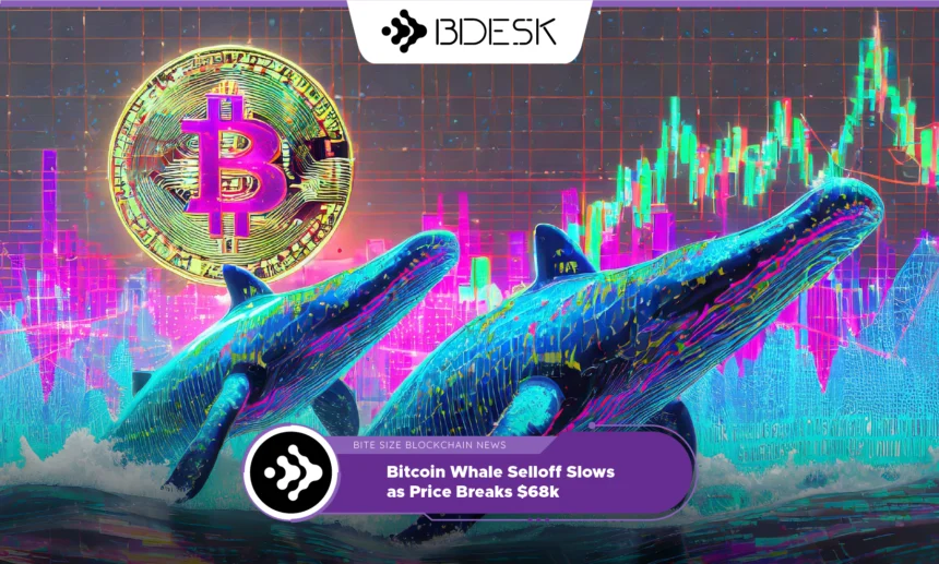 13Desk Crypto News | Bitcoin Whale Selloff Slows as Price Breaks $68k