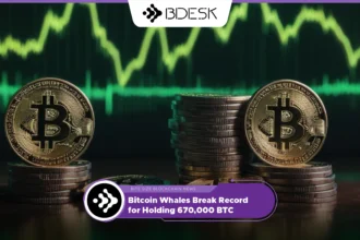 13Desk Crypto News | Bitcoin Whales Break Record for Holding 670,000 BTC.