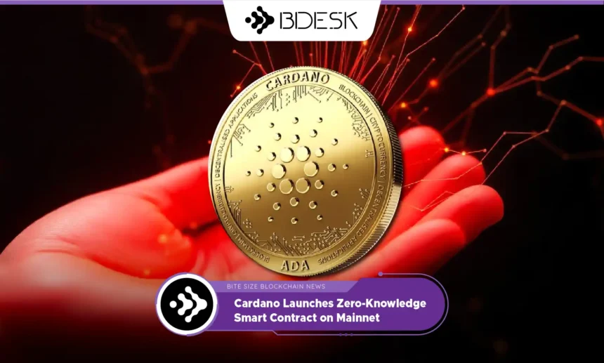 13Desk Crypto News | Cardano Launches Zero-Knowledge Smart Contract on Mainnet