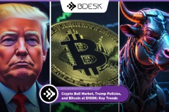 13Desk Crypto News | Crypto Bull Market, Trump Policies, and Bitcoin at $100K - Key Trends