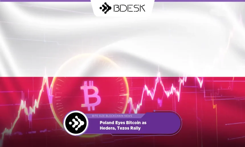 13Desk Crypto News | Poland Eyes Bitcoin as Hedera, Tezos Rally