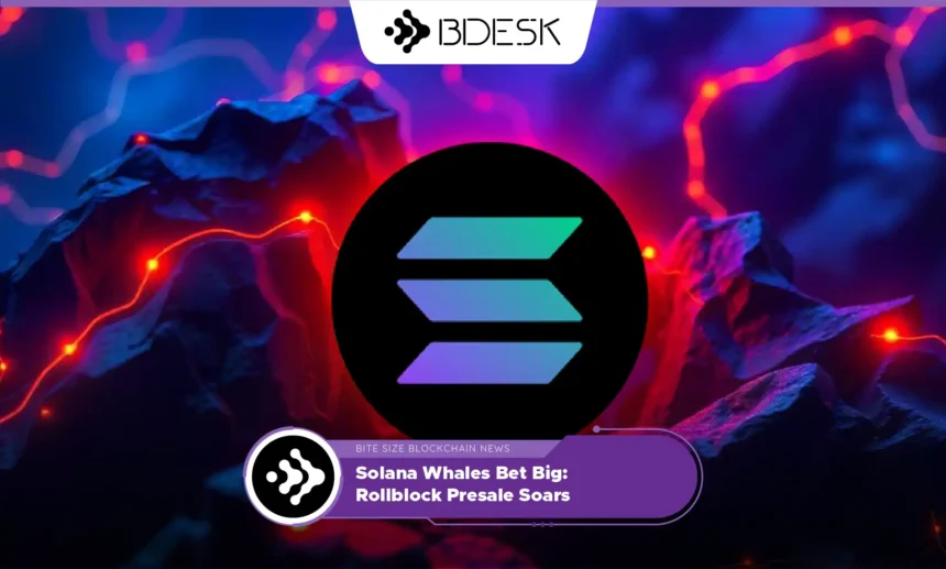 13Desk Crypto News | Solana Whales Bet Big - Rollblock Presale Soars