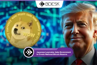 Crypto News 13Desk | Memecoin Frenzy Explodes After Trump's Election Victory