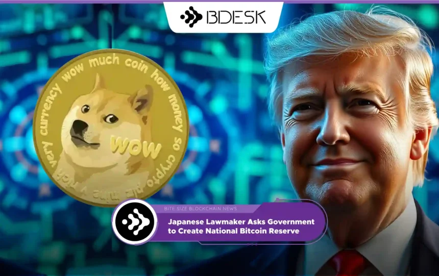 Crypto News 13Desk | Memecoin Frenzy Explodes After Trump's Election Victory