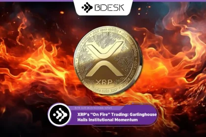 13Desk Crypto News | XRP's "On Fire" Trading: Garlinghouse Hails Institutional Momentum