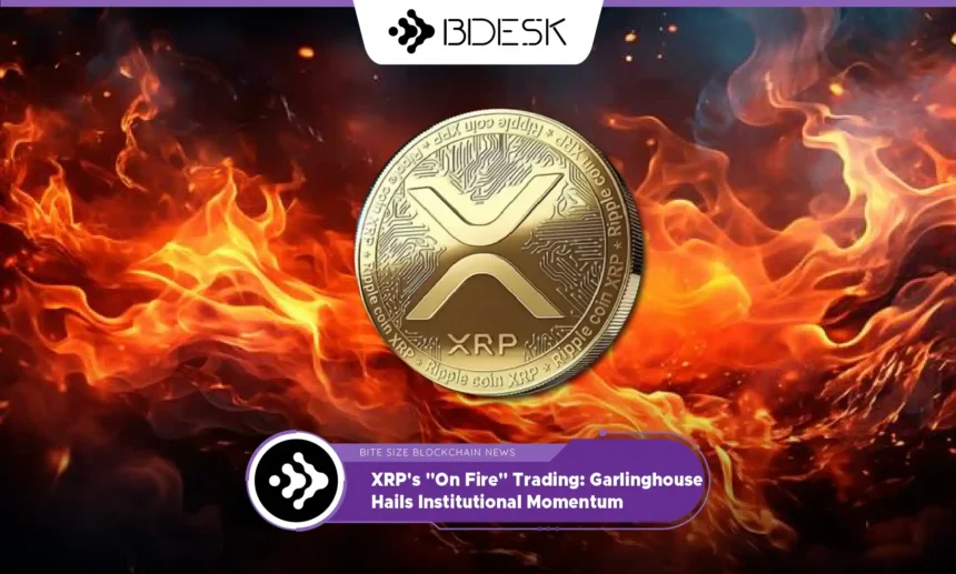 13Desk Crypto News | XRP's "On Fire" Trading: Garlinghouse Hails Institutional Momentum