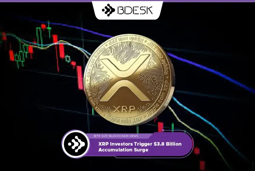 Crypto News 13Desk | XRP Investors Trigger $3.8 Billion Accumulation Surge