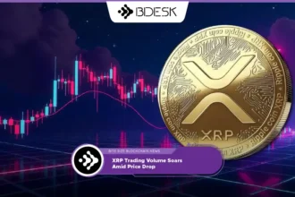 Crypto News 13Desk | XRP Trading Volume Soars Amid Price Drop