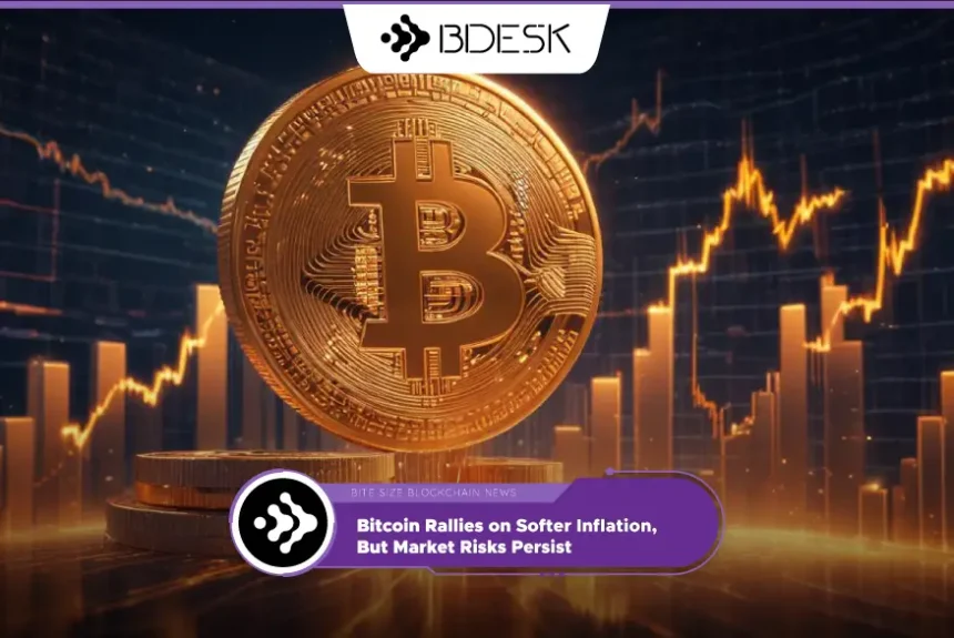 Crypto News 13Desk | Bitcoin Rallies on Softer Inflation, But Market Risks Persist